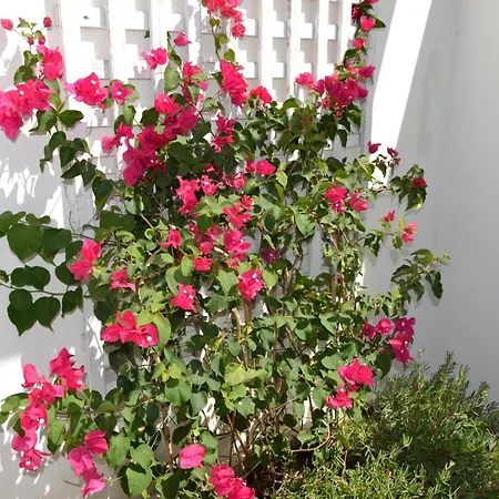 Rsh14a - Terrace With Hot Tub And Fantastic Views Estepona